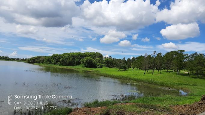 Danau Cherry blossom san diego hills super eklusuf 